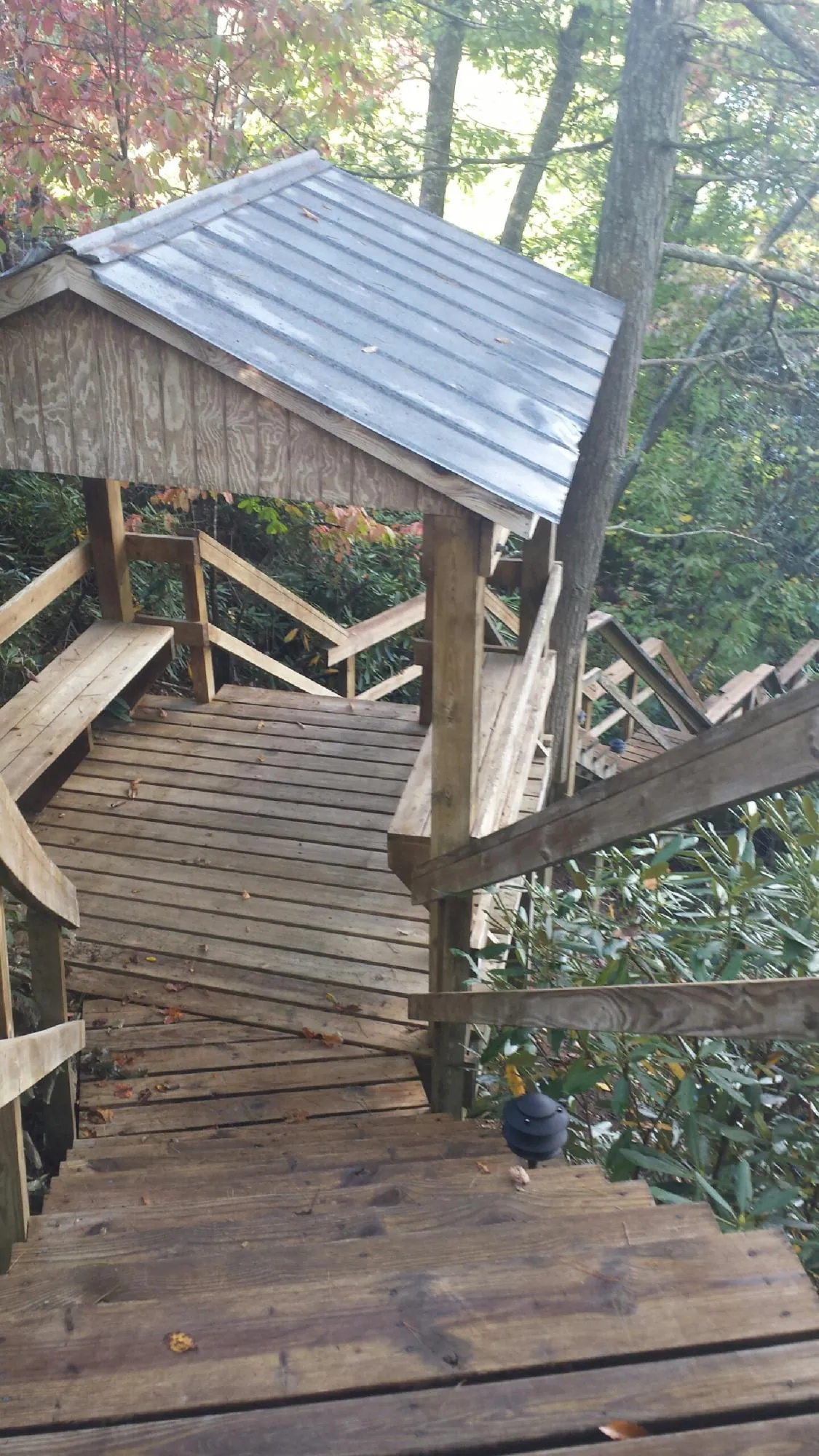 Metal roofed shelter over wooden steps on a wooded walkway — Skylight Repair & Installation work by our crew in Westwego